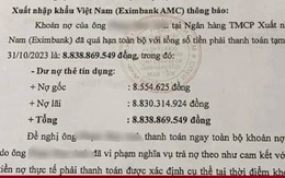 Xài thẻ tín dụng 8,5 triệu đồng, phải trả hơn 8,8 tỷ đồng: Luật sư phân tích