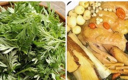 Kết hợp rau ngải cứu với thứ này mang hiệu quả bất ngờ cho sức khỏe