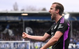 Harry Kane dính chấn thương trong ngày lập kỷ lục