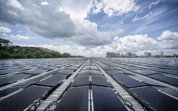 Vũ khí bí mật của Trung Quốc khiến thế giới 'khóc thét': Có thể giảm 50% giá bán buôn pin mặt trời, bán được nhiều hơn cả Mỹ, khiến châu Âu hối hận vì đã làm 1 việc