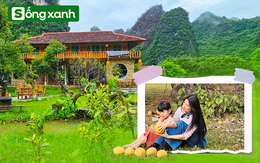 Người phụ nữ bê đá xây nhà giữa thung lũng, sống thuận tự nhiên, thu 2 tấn hồng/năm nhưng không bán