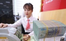 Tin vui cho nhân sự ngành tài chính: VietinBank, Vietcombank, Kho bạc Nhà nước, cơ quan thuế đăng tuyển hàng nghìn vị trí