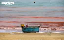 Nước biển ở Hà Tĩnh có màu đỏ như ‘máu’