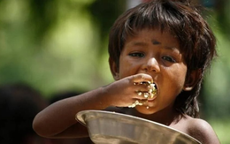 Nghịch lý đau lòng: Mỗi ngày có 1 tỷ bữa ăn bị vứt bỏ trong khi 800 triệu người chịu đói…, lãnh đạo LHQ thậm chí còn so sánh với "thảm kịch toàn cầu"