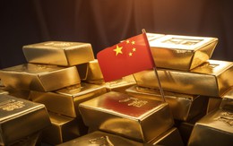 'Tưởng là 1 tấn rác công nghệ, nhưng lại là 2 lạng vàng' - Báo Trung Quốc chỉ ra cơ hội làm giàu có 102?