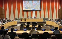 Việt Nam trúng cử Hội đồng chấp hành UN Women