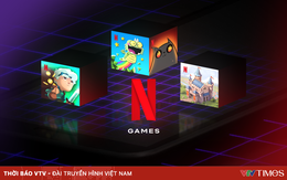 Yêu cầu Netflix dừng quảng cáo, phát hành game không phép tại Việt Nam