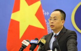 Việt Nam thất vọng với báo cáo của các cơ quan Liên Hợp Quốc