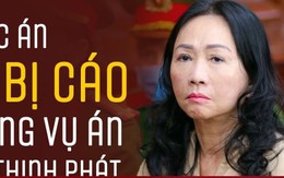 Infographic: Mức án 86 bị cáo trong vụ án Vạn Thịnh Phát