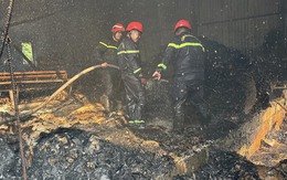 Hình ảnh hoang tàn sau đám cháy tại một công ty bao bì ở Bình Dương