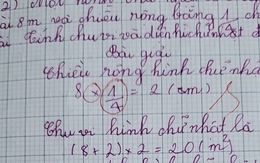 Con làm phép tính "8 x 1/4 = 2" bị cô giáo gạch sai đỏ choét, phụ huynh TP.HCM bức xúc: "Cách nào mới đúng?"