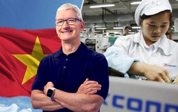 Tim Cook xuất hiện tại Hà Nội, trung tâm sản xuất lớn thứ 3 của Apple ngoài Trung Quốc và Ấn Độ lộ diện?