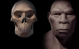 Phát hiện "xưởng vũ khí" của loài người khác trong mỏ đá ở Israel