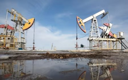 Không phải Nga, đây mới là vựa dầu "miễn nhiễm" với lệnh trừng phạt: Xuất khẩu dầu tăng cao nhất 6 năm, Trung Quốc mạnh tay gom hàng