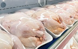 Thịt gà có 5 dấu hiệu này tuyệt đối không mua dù rẻ đến mấy
