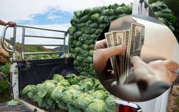 Người đàn ông mang balo tiền đi mua 4kg bắp cải, cảnh sát theo chân về tận nhà: Phát hiện hơn 4 tỷ đồng được cất giấu, phanh phui đường dây tội phạm tinh vi