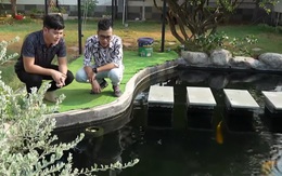 Từ Mỹ về Việt Nam, một nam ca sĩ xây biệt phủ như resort, nuôi cả công, cá Koi

