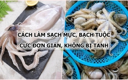 Bật mí cách làm sạch mực, bạch tuộc cực nhanh gọn và đơn giản