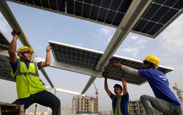 Đang đắt đỏ, món đồ này được Trung Quốc "phù phép" là sản xuất ồ ạt, giá rẻ như cho: Giờ nhà ai cũng có!