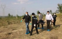 Mẹ chồng mất tích, con dâu vội báo cảnh sát: Bà cụ được tìm thấy trong mộ, con trai lĩnh án 12 năm tù