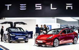 Tesla tìm đất cho nhà máy xe điện 3 tỷ USD tại thị trường ô tô lớn thứ 3 thế giới, địa điểm có thể là không xa nơi đặt cơ sở sản xuất của VinFast