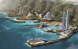 Crystal Bay của đại gia Nguyễn Đức Chi báo lãi trở lại, nợ phải trả còn hơn 4.500 tỷ đồng