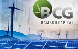 Tổng giám đốc mới của Bamboo Capital là ai?