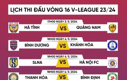 Lịch thi đấu vòng 16 V-League 2023/2024: CAHN so tài Nam Định, HAGL gặp khó