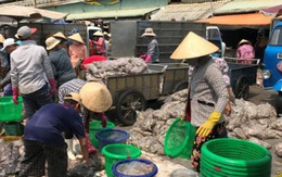 Hàn Quốc, Trung Quốc đua nhau săn lùng mặt hàng này của Việt Nam: Thu hơn 138 triệu USD kể từ đầu năm, nước ta đứng thứ 3 thế giới về xuất khẩu