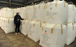 Trung Quốc cấm xuất khẩu, một mặt hàng của Việt Nam liên tục lên cơn sốt: Philippines tăng nhập khẩu gấp 3 lần, Hàn Quốc mạnh tay gom hàng dù giá đắt đỏ