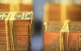 Đấu thầu thành công 8.100 lượng vàng miếng, giá 87,73 triệu đồng/lượng
