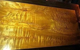 Loại gỗ đắt đỏ “suýt tuyệt chủng” vì cơn mê cuồng của Hoàng tộc Trung Quốc: Độc quyền hoàng gia, dân thường sẽ trả giá bằng mạng sống nếu cố dùng