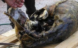 10 món ăn 'bốc mùi' nhất thế giới