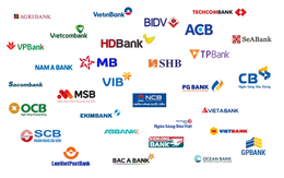 Top 10 công ty đại chúng uy tín và hiệu quả năm 2024: Tới 7 cái tên là ngân hàng