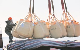 Trung Quốc cấm xuất khẩu, Nhật Bản sốt sắng tìm đến một báu vật của Việt Nam: Xuất khẩu tăng 3 chữ số, nước ta thu về  hàng trăm tỷ đồng