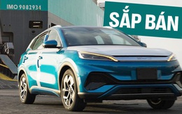 Hình ảnh này cho thấy bộ 3 xe BYD mới đã về Việt Nam: SUV, sedan, hatchback đều có, đại lý đặt lịch chạy thử tháng sau