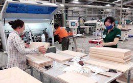 Gỗ Trường Thành được ngân hàng xoá nợ