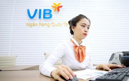 Hơn 11 nghìn nhân viên VIB có thu nhập bình quân gần 95 triệu đồng/người trong quý 1