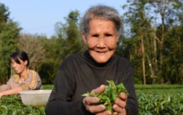 3 thói quen đơn giản giúp cụ bà sống thọ hơn 100 tuổi