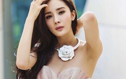 Tử vi 12 con giáp 8/5: Dậu tình yêu thăng hoa, Tý vận đỏ như son