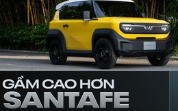 Rộng hơn xe hạng A, gầm cao hơn CUV cỡ C-D và những con số gây bất ngờ của VinFast VF 3