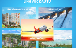 Tập đoàn  điều hành bởi nữ tỷ phú Nguyễn Thị Phương Thảo công bố báo cáo tài chính gây bất ngờ: Không vay nợ, lãi giảm quá nửa