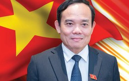 [INFOGRAPHICS] Nhiệm vụ của Phó Thủ tướng Chính phủ Trần Lưu Quang
