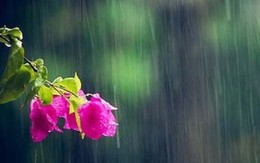 Dự báo thời tiết 15/6: Hà Nội ngày nắng gián đoạn, có lúc mưa rào