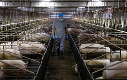 Cú đáp trả của Trung Quốc đối với châu Âu: Điều tra mặt hàng cực quan trọng mà Trung Quốc tiêu thụ 1 nửa sản lượng của thế giới