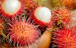 Kinh nghiệm chọn chôm chôm dày cùi, tróc vỏ