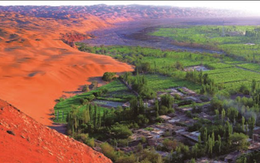 Trước cảnh ‘cát nuốt chửng người’, Trung Quốc mang rừng vào sa mạc, đi ngược quy luật truyền thống khiến thế giới ngả mũ thán phục