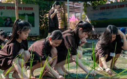 Lạc vào ma trận các khoá học hè, nhiều phụ huynh loay hoay sập bẫy