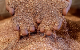 Từng săn lùng một nửa sản lượng của cả thế giới, Trung Quốc bất ngờ dư thừa lượng lớn mặt hàng cực quan trọng này, giá giảm hơn 13% chỉ trong 1 tháng