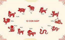 Tử vi 12 con giáp 22/6: Dần, Tuất tình yêu thăng hoa, Ngọ tài lộc rủng rỉnh